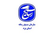 اصحاب رسانه یزد در یوم الله ۲۲ بهمن در مسیر جهاد تبیین نقش آفرینی کردند