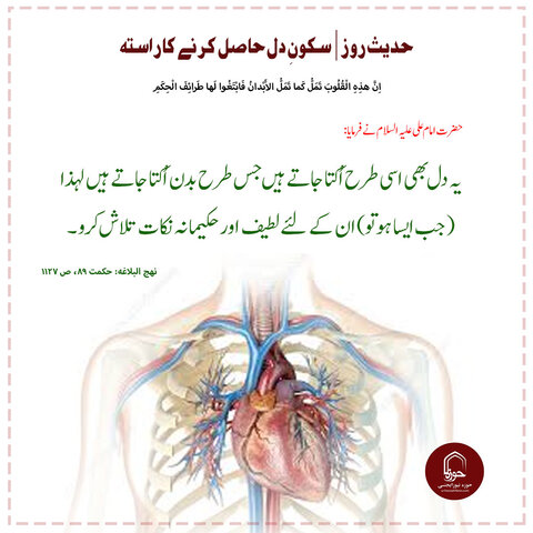 حوزہ نیوز کی روزآنہ کی مختصر خبریں۔