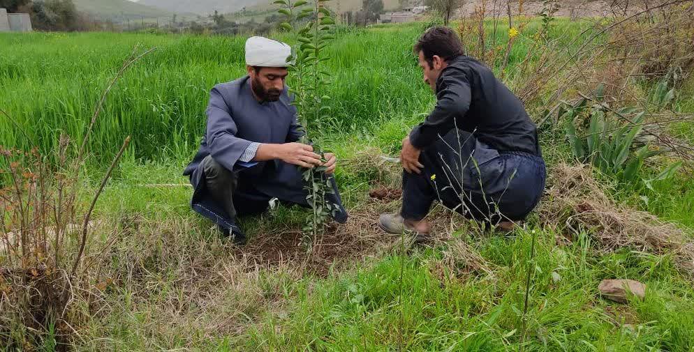 اشتغالزایی یک روحانی روستا با احیای زمین های بلا استفاده