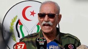 اشک تمساح روزنامه مراکشی درباره حمایت الجزایر از جبهه پولیساریو