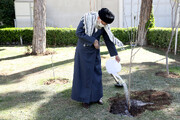 On National Tree Planting Day, Imam Khamenei planted tree saplings