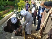 تصاویر/ کاشت نهال توسط نماینده ولی فقیه در بوشهر در روز درختکاری