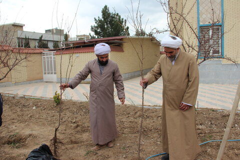 تصاویر / آیین مراسم درختکاری در حوزه علمیه خواهران استان قزوین
