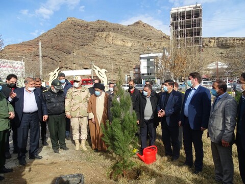 تصاویر/ کاشت نهال توسط ائمه جمعه آذربایجان غربی به مناسبت روز درختکاری