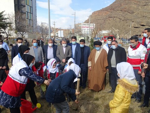 تصاویر/ کاشت نهال توسط ائمه جمعه آذربایجان غربی به مناسبت روز درختکاری