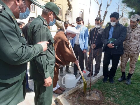تصاویر کاشت نهال توسط امام جمعه کاشان به مناسبت روز درختکاری