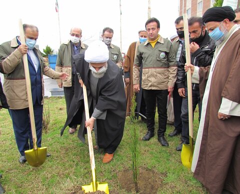 تصاویر/ کاشت نهال در مدرسه امیرالمومنین علی(ع) رشت به مناسبت هفته منابع طبیعی