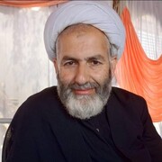 دہشتگردوں کو جڑ سے اکھاڑنے کے لئے ایران سے مدد لی جائے : مولانا علی محمد جان کشمیری