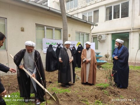 تصاویر/ روز درخت کاری، در دفتر نمایندگی حوزه علمیه خواهران در استان تهران