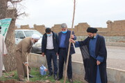 تصاویر / کاشت درخت توسط طلاب مدارس علمیه قزوین در روستای حصار خروان