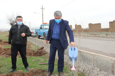 تصاویر / کاشت درخت توسط طلاب مدارس علمیه قزوین در روستای حصار خروان