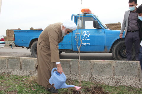 تصاویر / کاشت درخت توسط طلاب مدارس علمیه قزوین در روستای حصار خروان