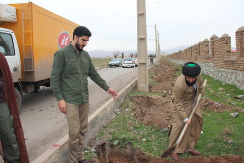 تصاویر / کاشت درخت توسط طلاب مدارس علمیه قزوین در روستای حصار خروان