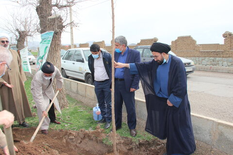 تصاویر / کاشت درخت توسط طلاب مدارس علمیه قزوین در روستای حصار خروان