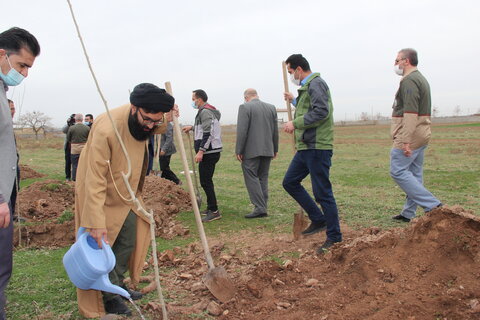 تصاویر / کاشت درخت توسط طلاب مدارس علمیه قزوین در روستای حصار خروان