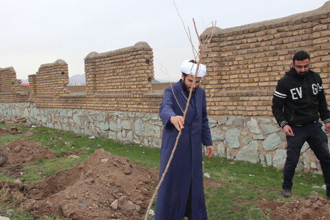 تصاویر / کاشت درخت توسط طلاب مدارس علمیه قزوین در روستای حصار خروان