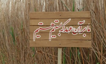 فیلم | اگر شهید نباشد، خورشید طلوع نمیکند...