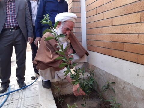 تصاویر/ کاشات درخت در مرکزخدمات حوزه علمیه کاشان  با حضورآیت الله سلیمانی