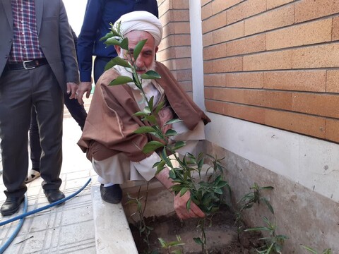 تصاویر/ کاشات درخت در مرکزخدمات حوزه علمیه کاشان  با حضورآیت الله سلیمانی