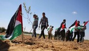 اليوم يوم الأرض .. ذاكرة الفلسطينيين حية والمواجهة مستمرة