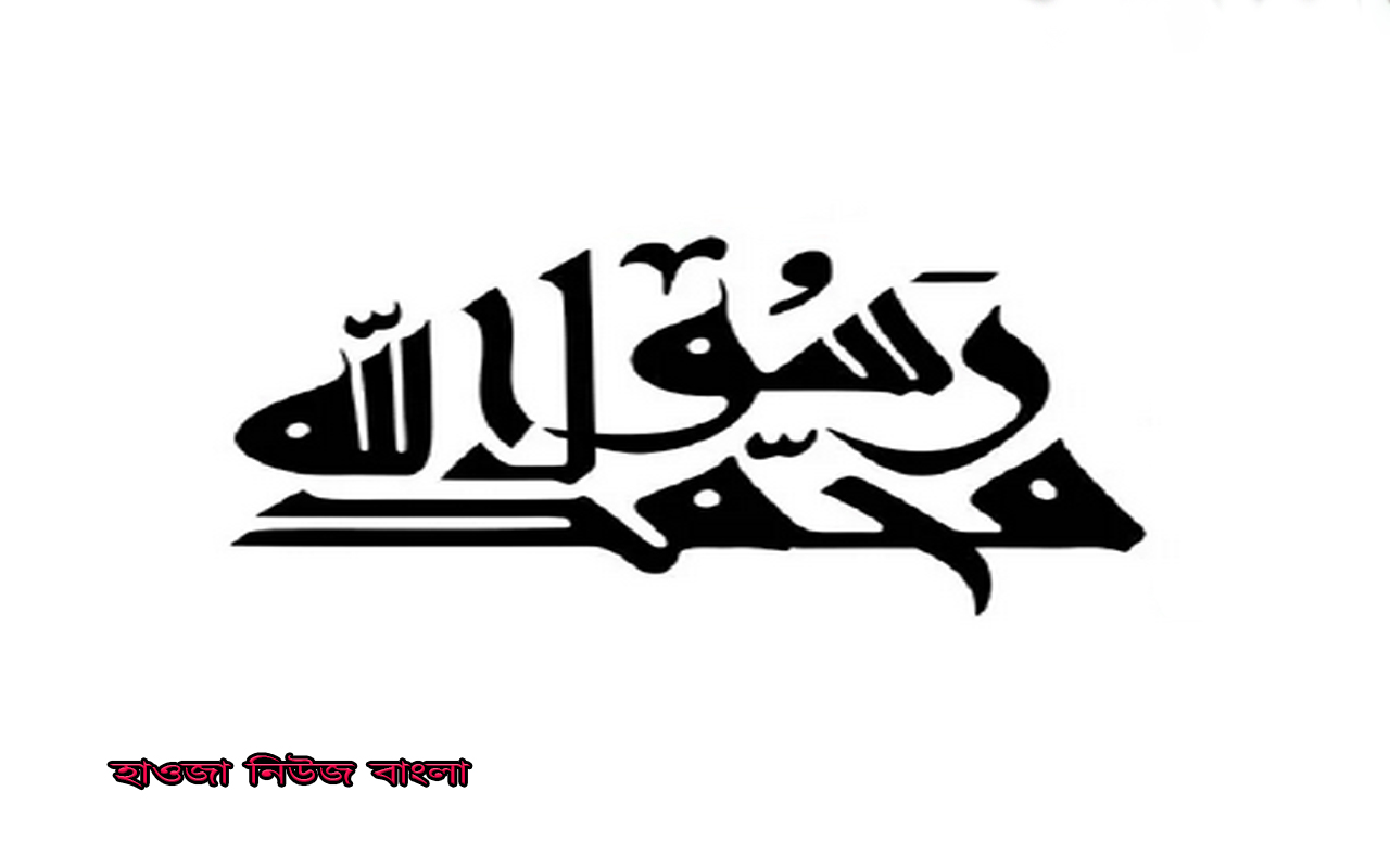 মাওলা আলীর (আঃ) সম্পর্কে আল্লাহর রসূলের (সা:) বানী