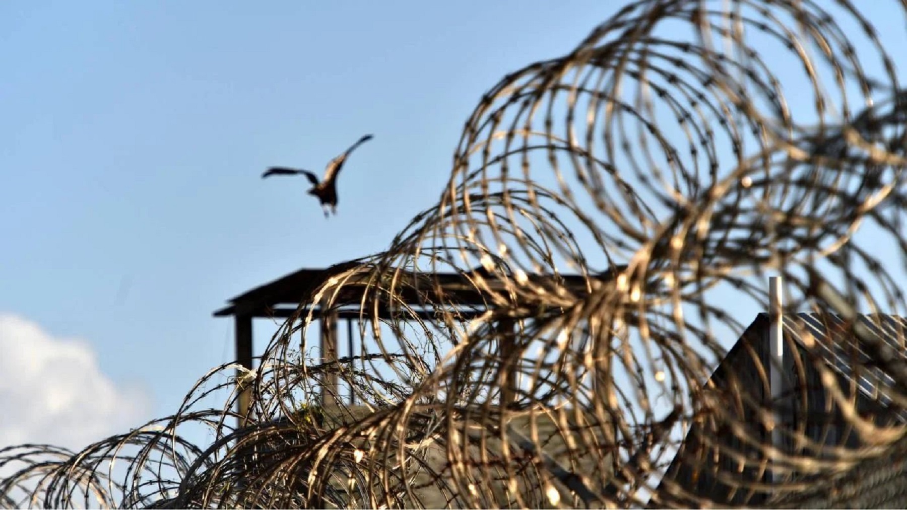 'Why don't we just kill them?': New book details CIA rendition and torture programme