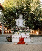 ‘Buddhism in Spanish is here’: the Latino monks building a unique community