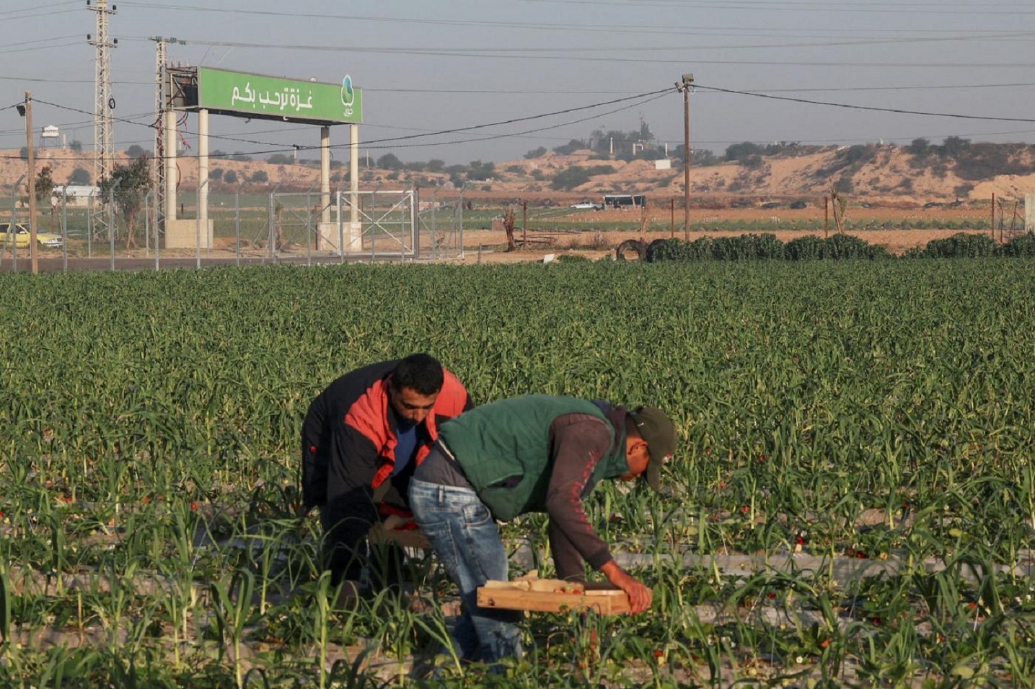 Israel closes crossing to Gaza Strip as UN calls for probe into al-Aqsa violence