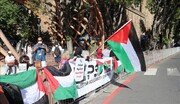 Pro-Palestinian movement grows in Africa as Israel seeks to penetrate continent