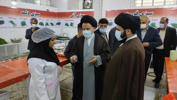 بازدید نماینده ولی فقیه در لرستان از یک طرح کارآفرینی