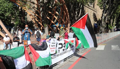 Pro-Palestinian movement