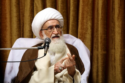 تصاویر/ دیدار رئیس مجلس علمای شیعه لبنان با آیت الله العظمی نوری همدانی