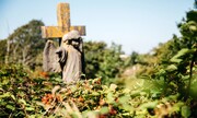 God’s own gardens: why churchyards are some of our wildest nature sites