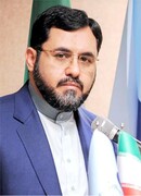محمدحسین ظریفیان یگانه "مدیرکل دفتر توسعه کتاب و کتابخوانی" شد