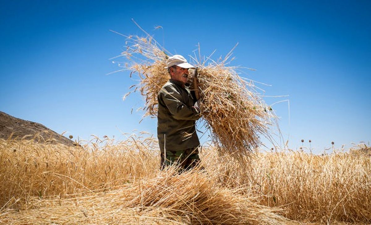 ۵۵۰ آیه قرآن کریم مرتبط با حوزه کشاورزی است/ وزارت جهاد کشاورزی رسالت مهمی در تحقق شعار سال دارد