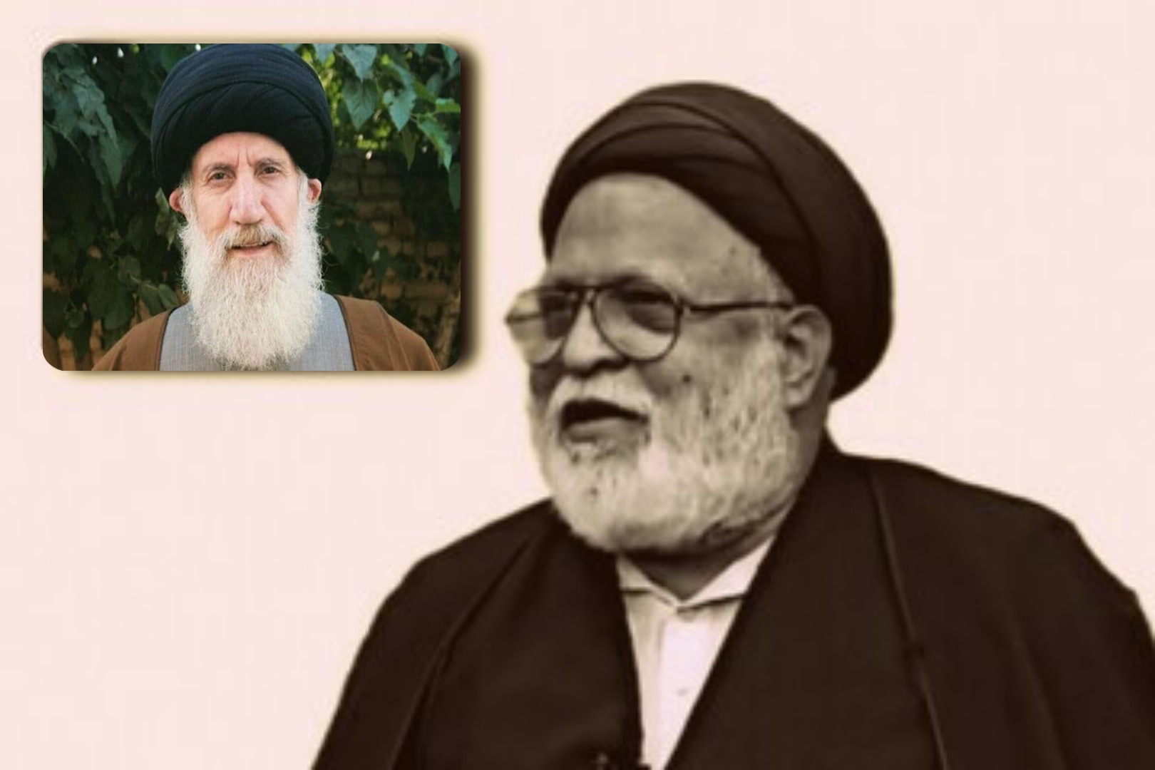 حجۃ الاسلام سید فاطمی نیا عالم، معلم، مربی، خطیب اور علم رجال و تاریخ کے ماہر تھے، مولانا سید صفی حیدر زیدی