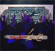 فیلم | "با جون و دل میگم سلام فرمانده" با نوای سیدرضا نریمانی