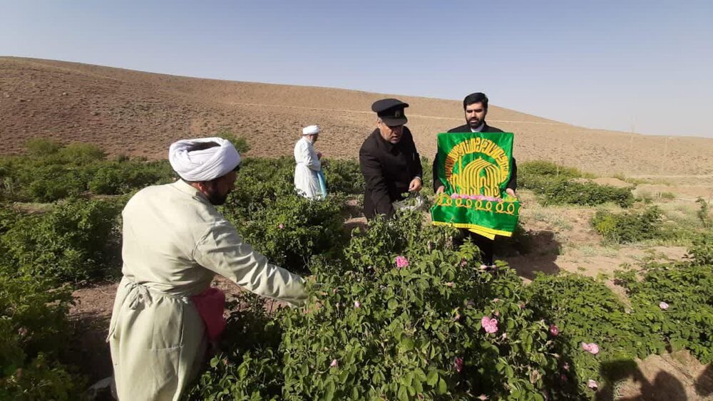 نخستین آیین «با گلاب ناب تا ضریح آفتاب» در کاشان اجرا شد + عکس