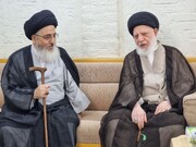 Photo/ Congress Foreign Guests Visit Grand Ayatollah Hakim's House in Najaf