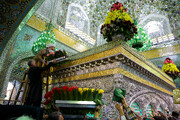 Photo/ Imam Reza Holy Chamber Flower Decoration on the Occasion of His Birth Anniversary