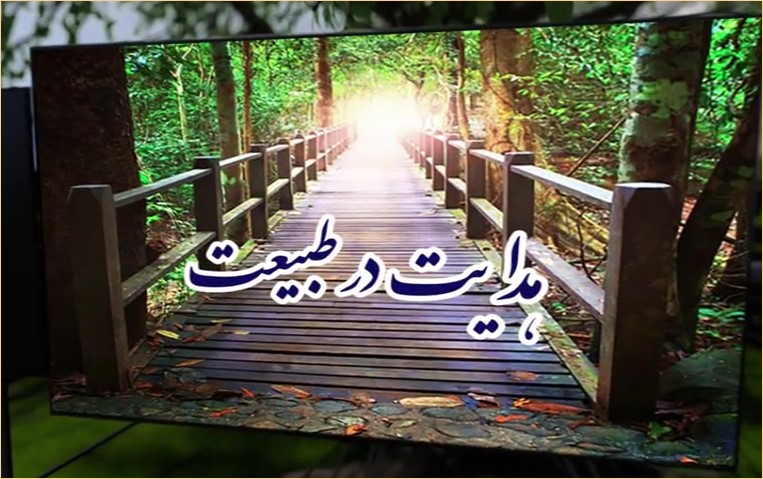 فیلم | هدایت در طبیعت