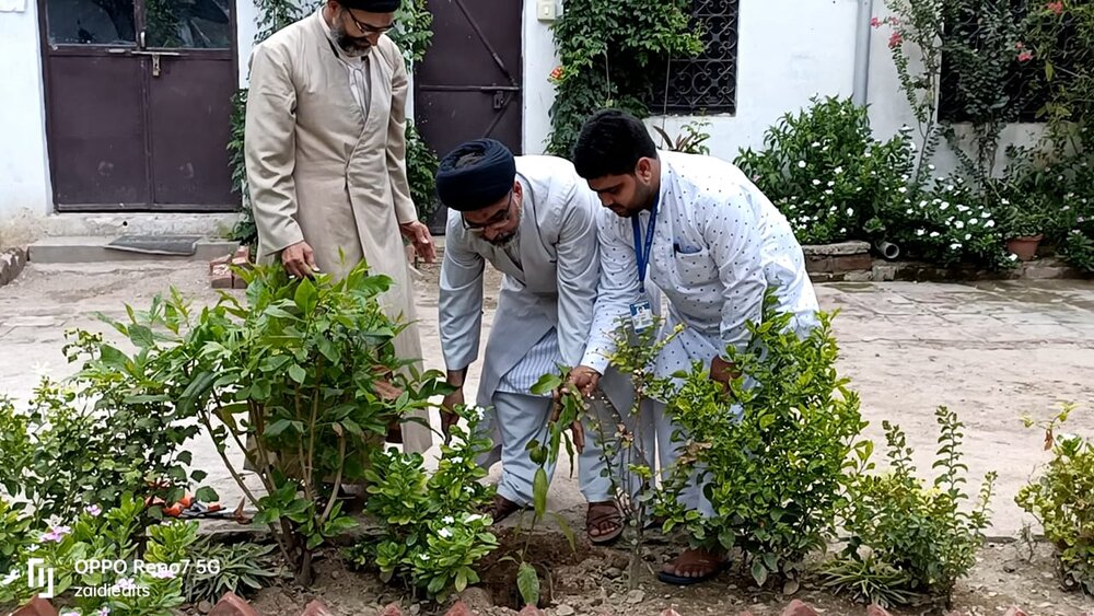 जामिया इमामिया तंज़ीमुल मकातिब में वृक्षारोपण/फोंटो