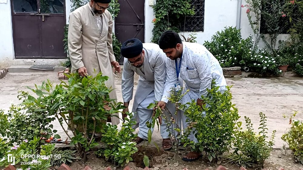 जामिया इमामिया तंज़ीमुल मकातिब में वृक्षारोपण/फोंटो