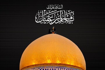 یادداشت رسیده | مسلم بن عقیل (ع)، عیار امام شناسی