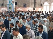تصاویر/ برگزاری نماز عید قربان در کاشان