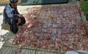 تصاویر/ توزیع بسته‌های گوشت قربانی بین خانواده‌های نیازمند تبریزی توسط گروه جهادی عطر بهشتی