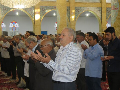 تصاویر/ نماز عید قربان در بناب