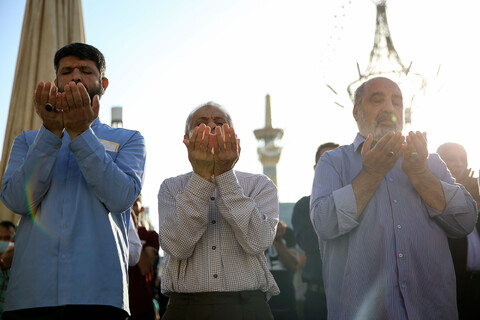 تصاویر/ عید قربان در حرم مطهر رضوی