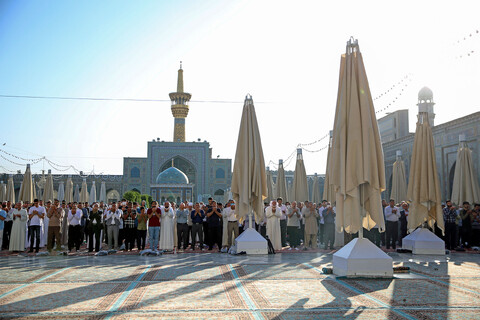 تصاویر/ عید قربان در حرم مطهر رضوی