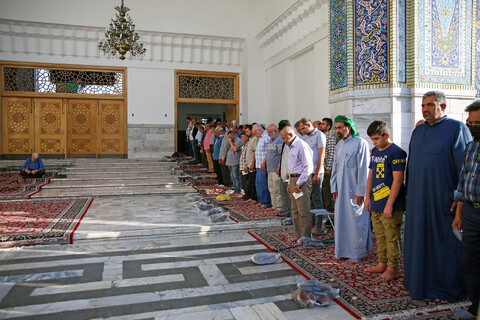 تصاویر/ عید قربان در حرم مطهر رضوی